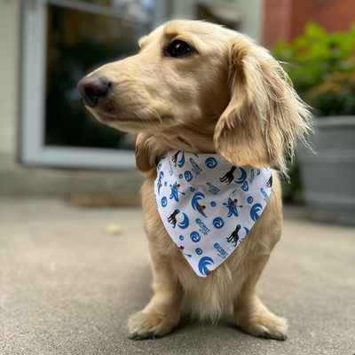 FD Dog Bandana